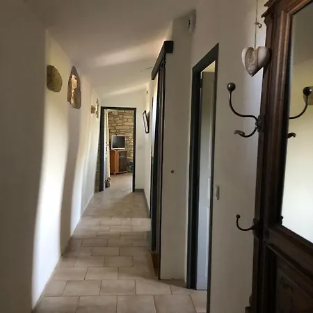 L'olivier Au Mas Dujau